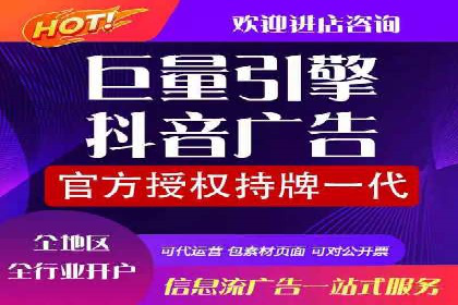 解析SEM投放策略：从经典案例看效果